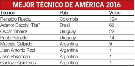 tecnico-31